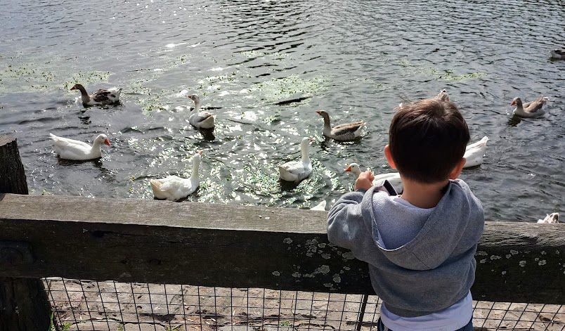 Laguna del Parque Unzu&eacute;